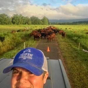 Meet your Posher, Donna